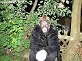 Marks Taverne vom 06.06.2008-015